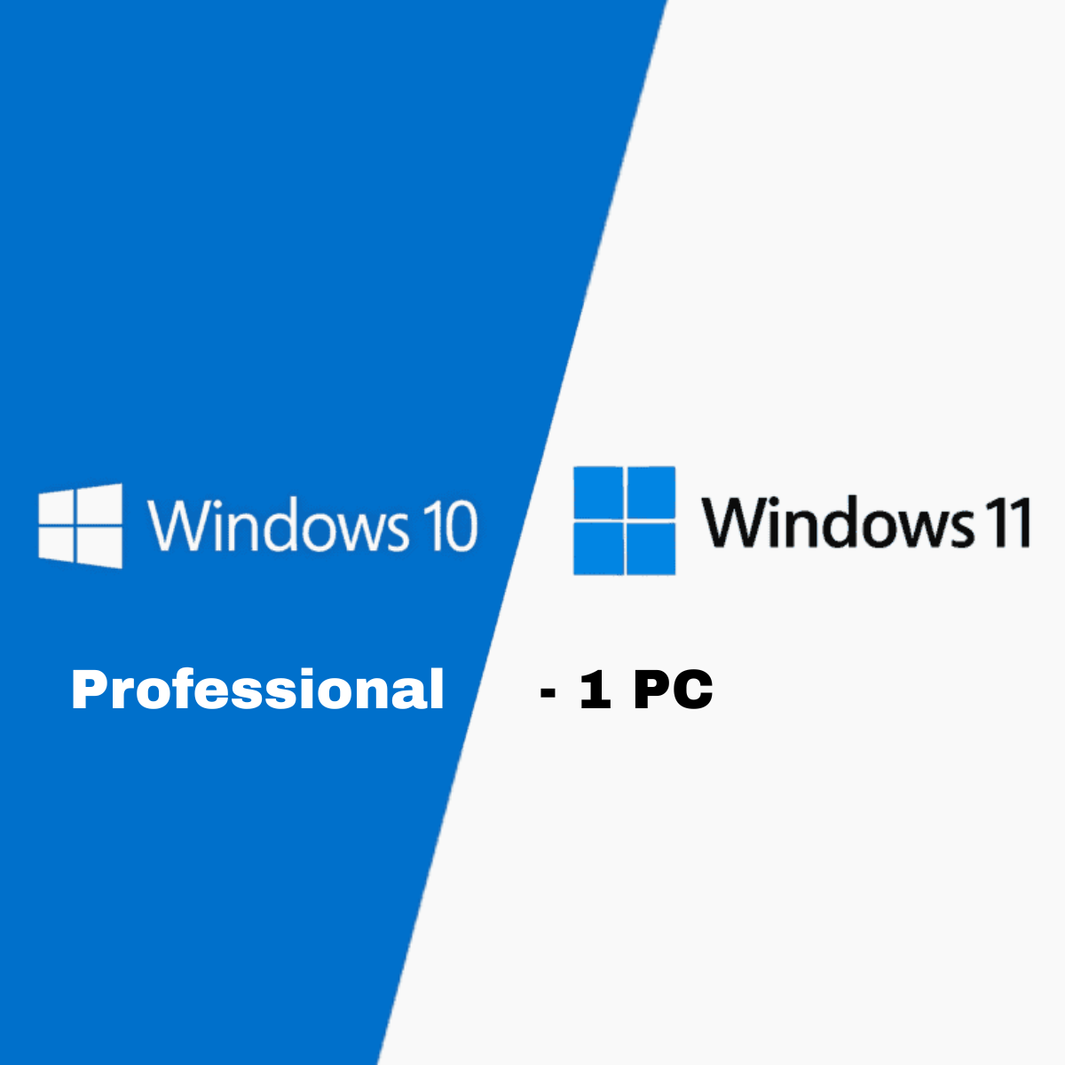 Microsoft Windows 10 / 11 Professional - 1 PC